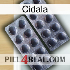 Cidala 31